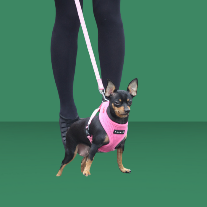 Puppia Harness Pink M