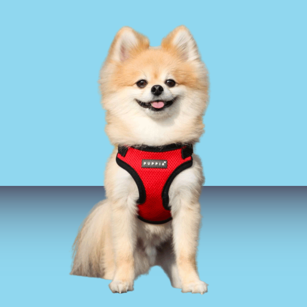 Puppia Harness Red S