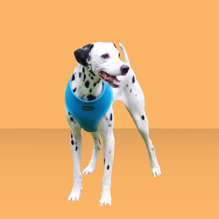 Puppia Harness Sky Blue S