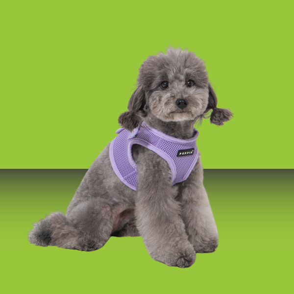 Puppia Harness Violet M
