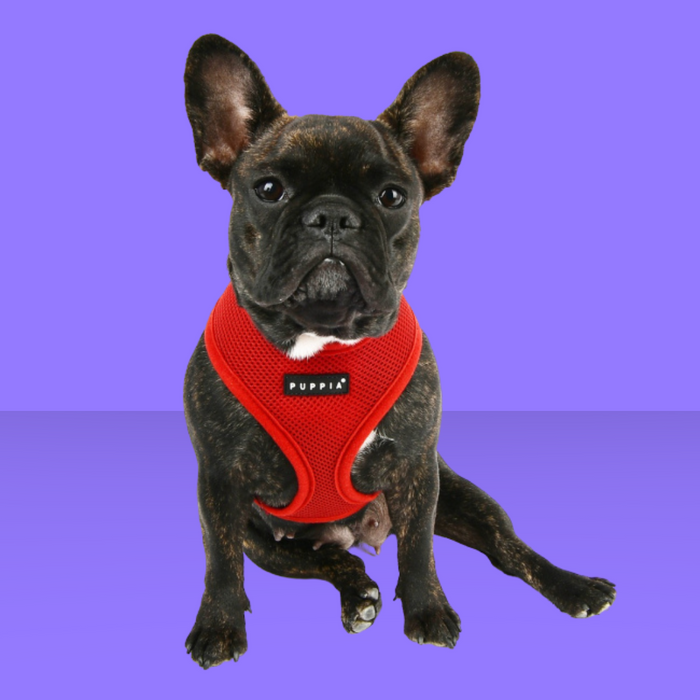 Puppia Harness Wine L