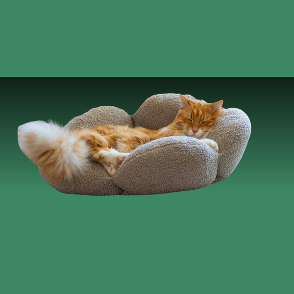 Purrfect Petals Cat Bed Tan