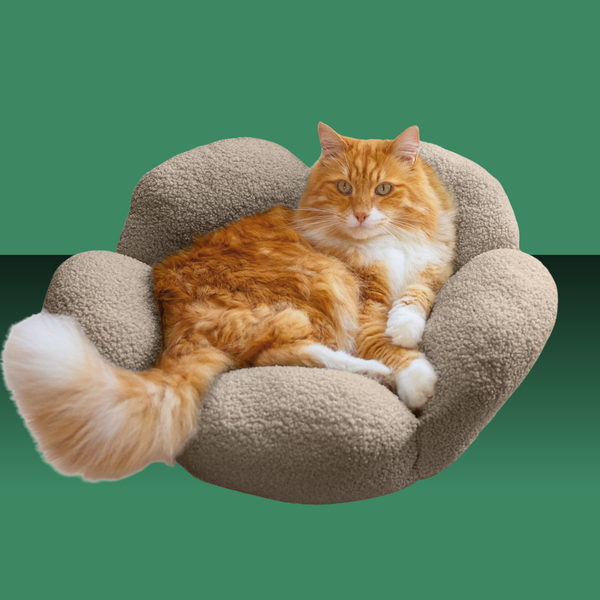 Purrfect Petals Cat Bed Tan