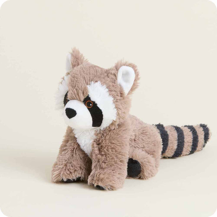 Raccoon Warmies Junior