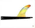 Rainbow Fin