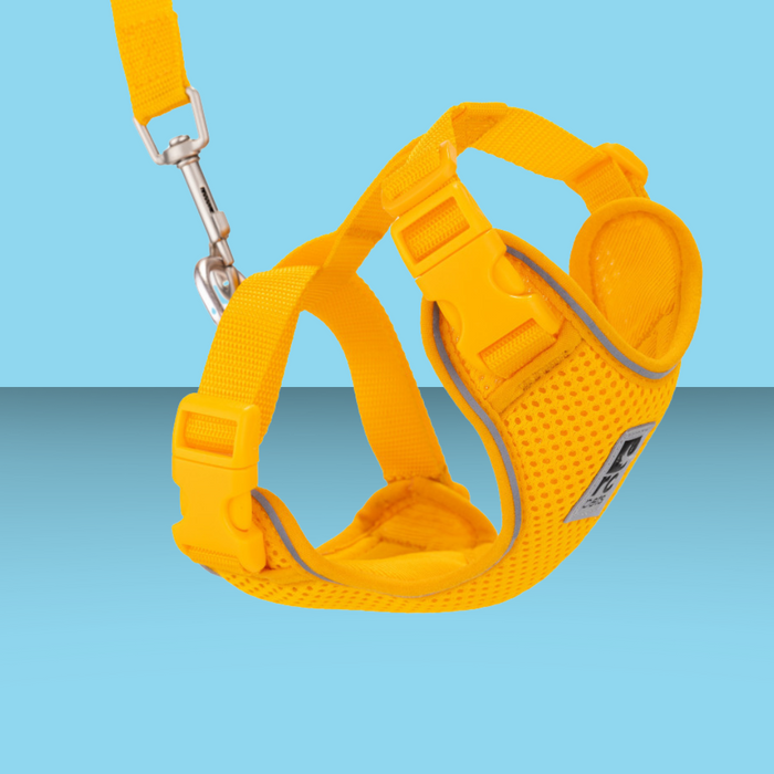 RC Pet Adventure Kitty Harness Marigold M