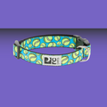 RC Pet Clip Collar Fetch M