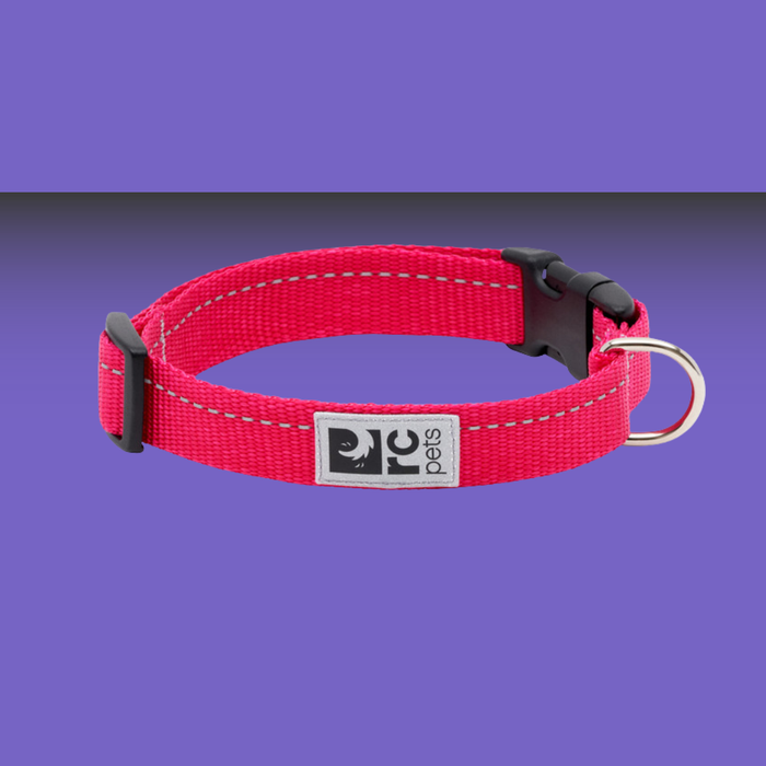 RC Pet Clip Collar Primary Azalea M