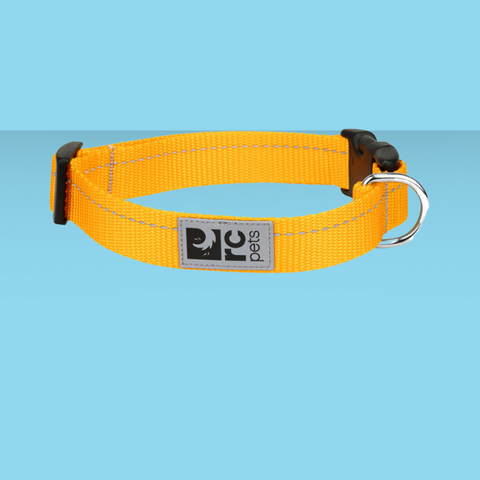 RC Pet Clip Collar Primary Marigold L