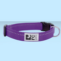 RC Pet Clip Collar Primary Purple L