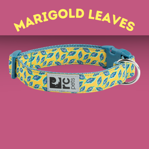 RC Pet Collar