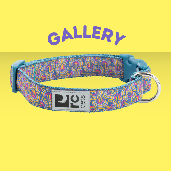 RC Pet Collar