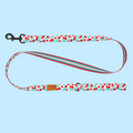 RC Pet Eco 1" Leash Cherry Picnic 5'