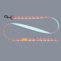 RC Pet Eco 1" Leash Dainty Mint/Wildflowers 5'