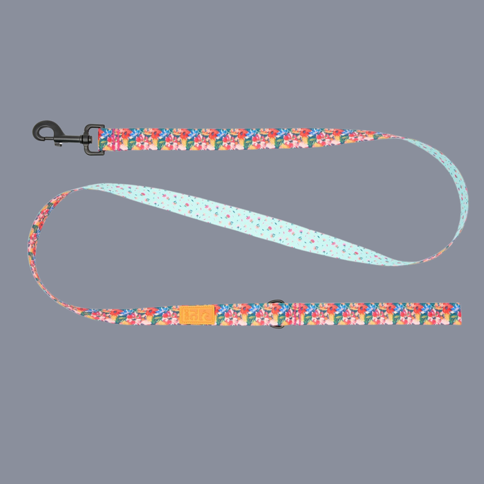RC Pet Eco 1" Leash Dainty Mint/Wildflowers 5'