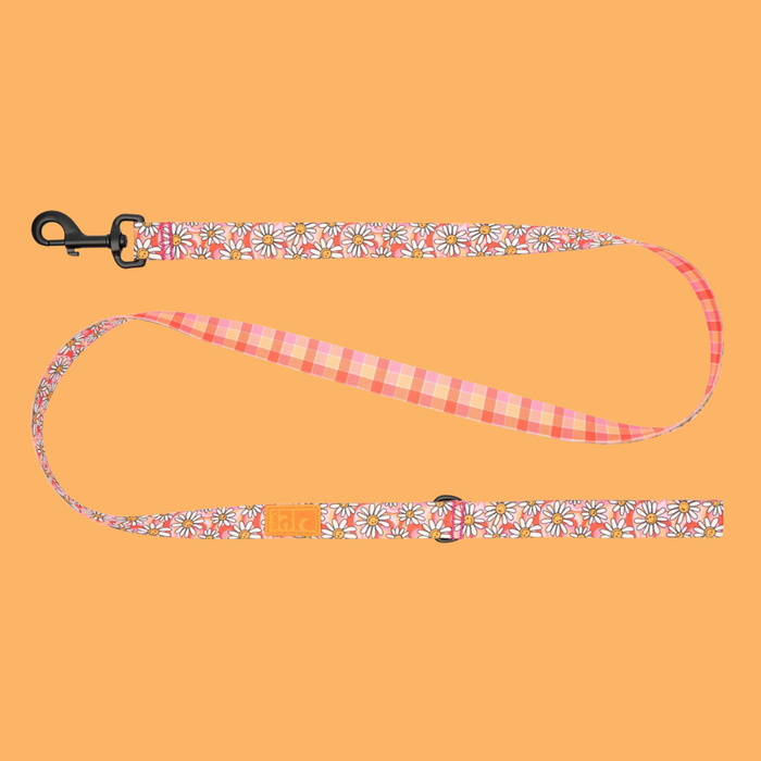 RC Pet Eco 1" Leash Daisy Joy 5'