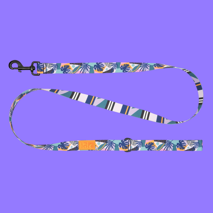 RC Pet Eco 1" Leash Mystic Monstera 5'