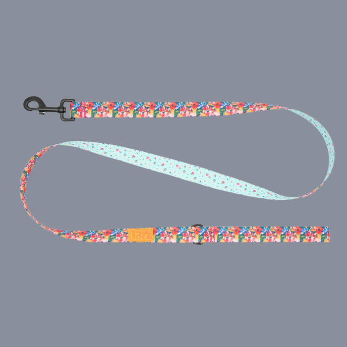 RC Pet Eco 3/4" Leash Dainty Mint/Wildflowers 5'