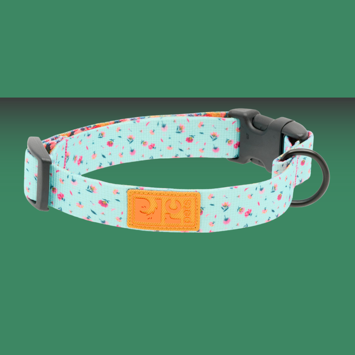 RC Pet Eco Clip Collar Dainty Mint S