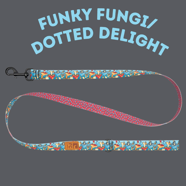 RC Pet Eco Leash
