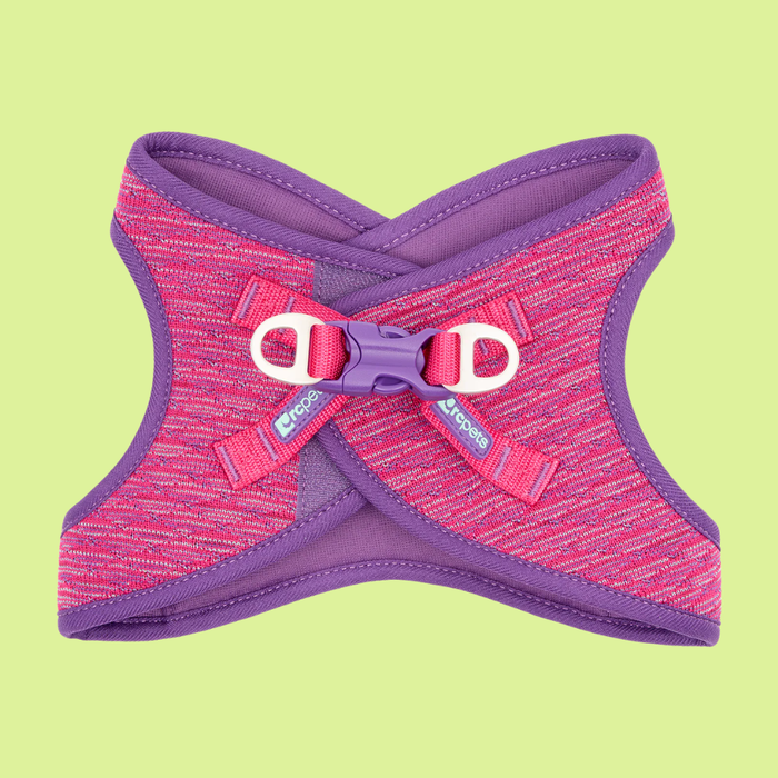 RC Pet Evolution Step In Harness Azalea S