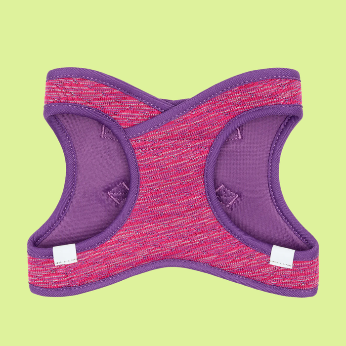 RC Pet Evolution Step In Harness Azalea XS