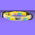 RC Pet Kitty Breakaway Cat-titude