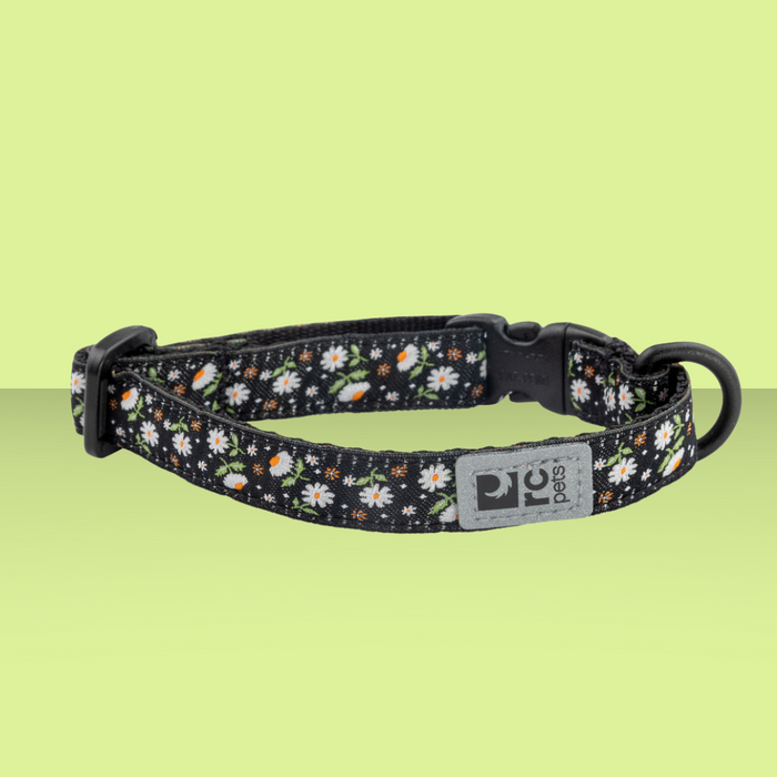 RC Pet Kitty Breakaway Daisies