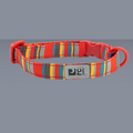 RC Pet Kitty Breakaway Multi Stripes
