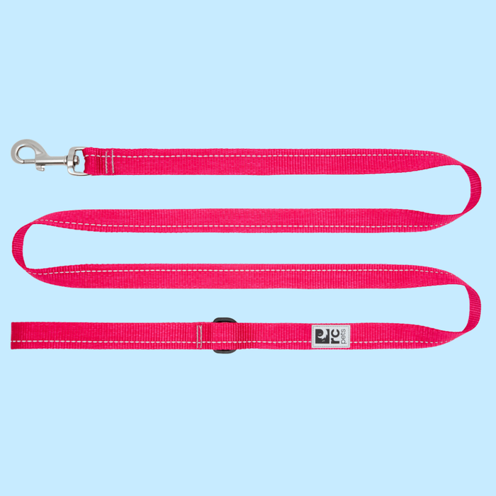 RC Pet Leash 1" Primary Azalea 6'