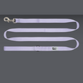 RC Pet Leash 1" Primary Lilac 6'
