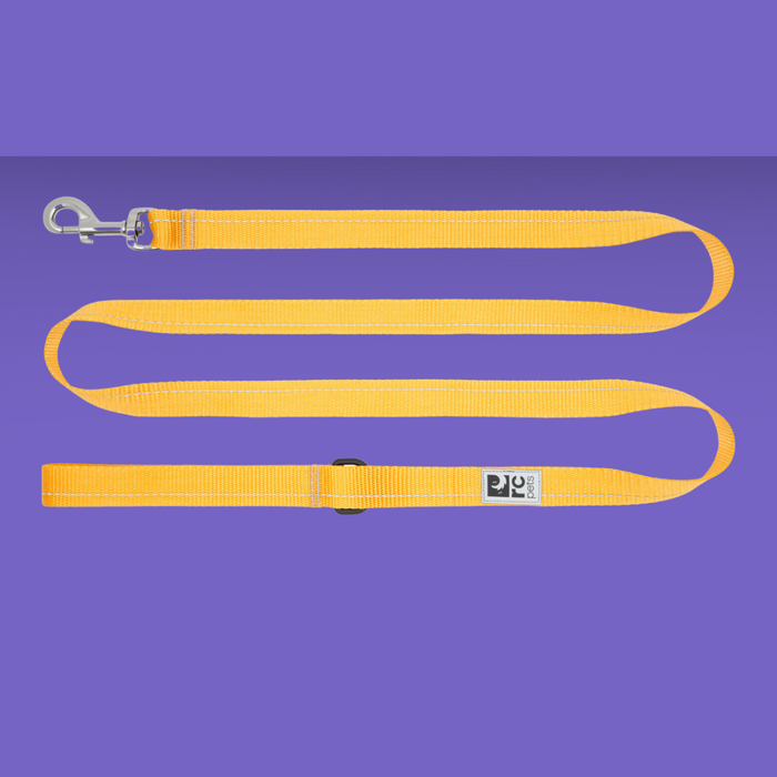 RC Pet Leash 1" Primary Marigold 6'