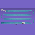 RC Pet Leash 1" Primary Parakeet 6'