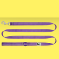 RC Pet Leash 1" Primary Purple 6'