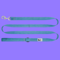 RC Pet Leash 3/4" Primary Dark Teal 6'