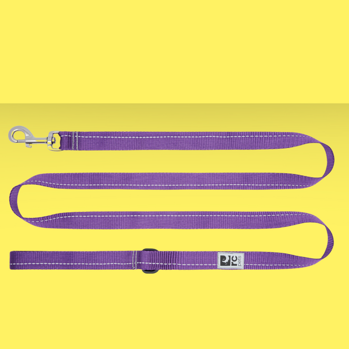 RC Pet Leash 3/4" Primary Purple 6'