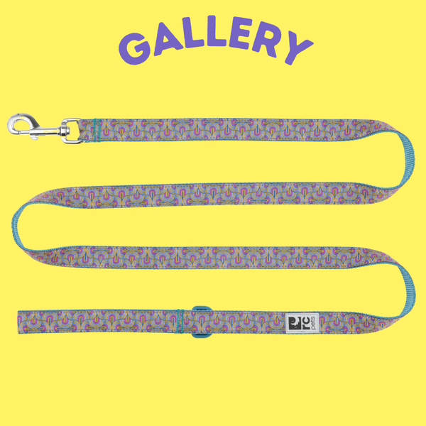 RC Pet Leash