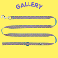 RC Pet Leash
