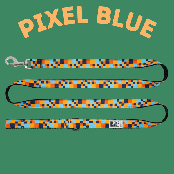 RC Pet Leash