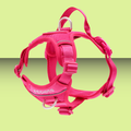 RC Pet Momentum Harness Azalea M