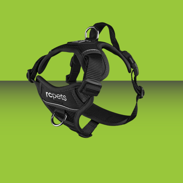 RC Pet Momentum Harness Black XL