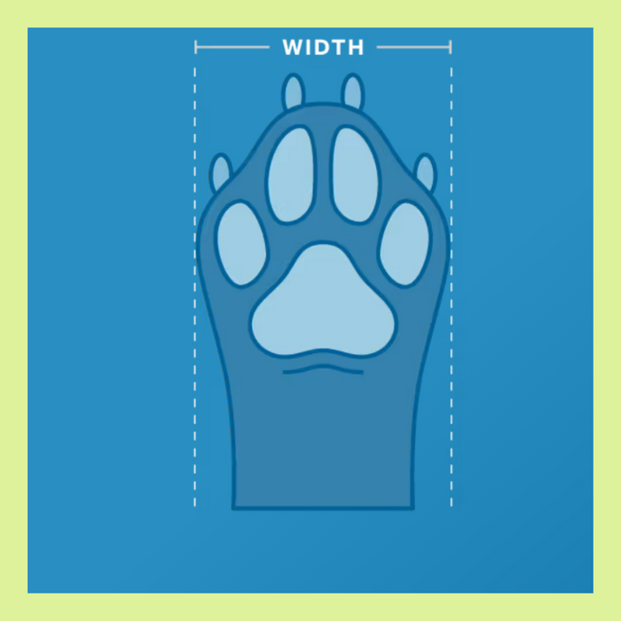 RC Pet Sport Pawks Charcoal Heather XL