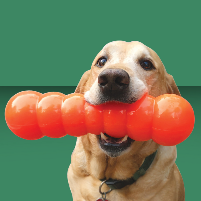 Ruff Dawg Dawg Buster