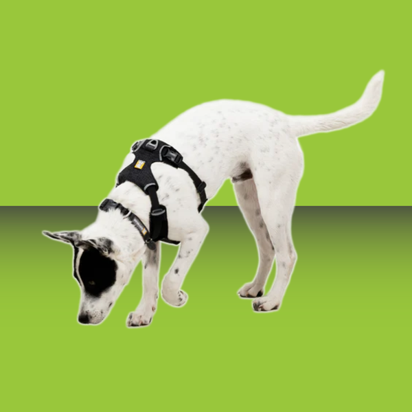 Ruffwear Front Range Flex Harness Basalt Gray M