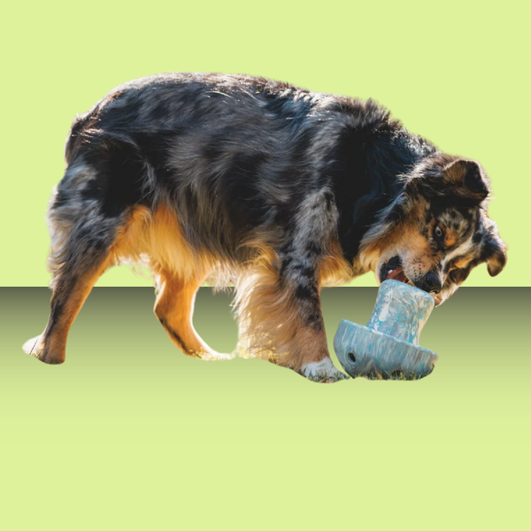 Ruffwear Porcini Blue Prism