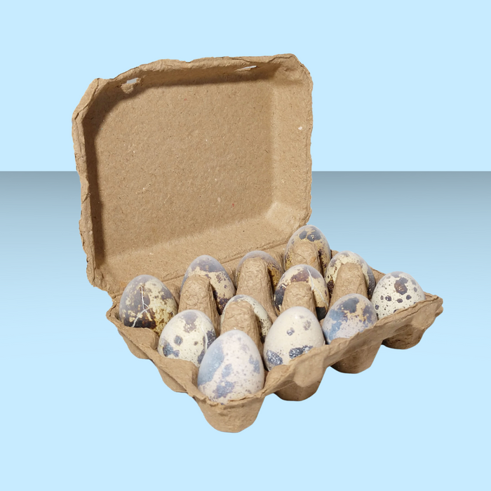 Savage Cat Frozen Quail Eggs 24 Pack