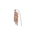 Sedum Hanging Spray