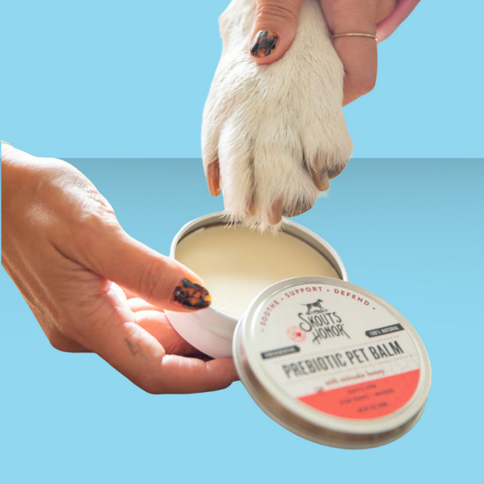 Skout's Honor Prebiotic Paw Balm 2oz