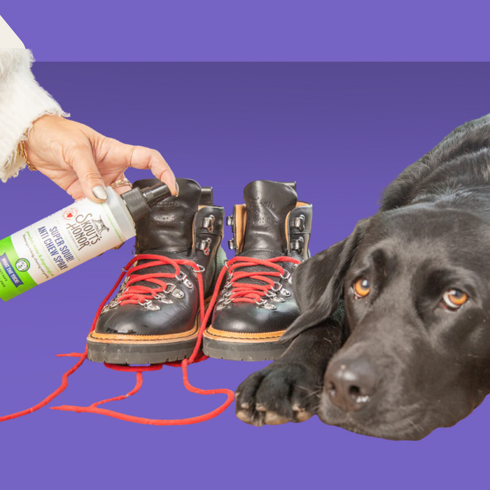 Skout's Honor Super Sour Anti-Chew Spray 8oz