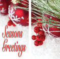 Snow & Berries Double Vinyl Banner Set Dekra-Lite